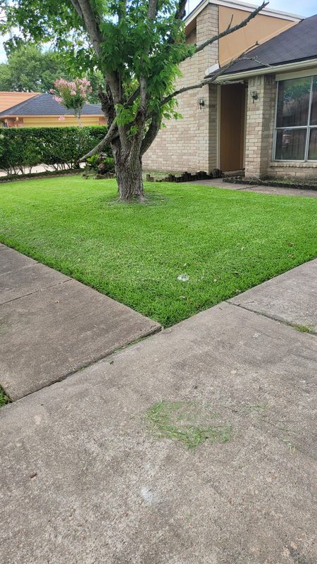 Lawn Care