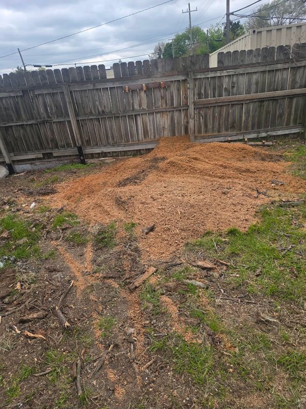 Stump Grinding