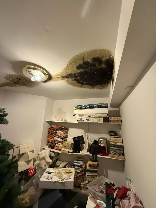 Mold Remediation