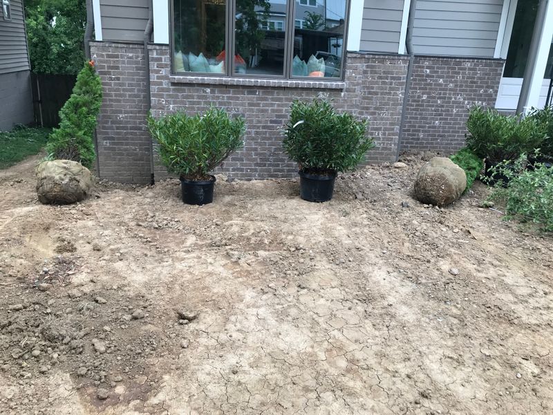 Other Lawn Services