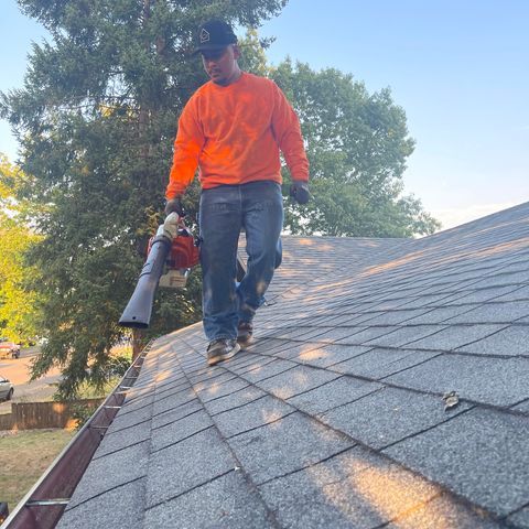 Pressure Washing