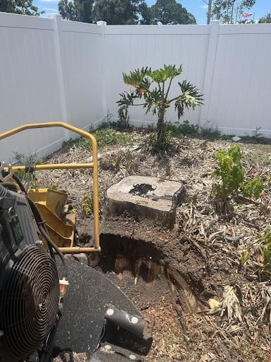 Stump Grinding