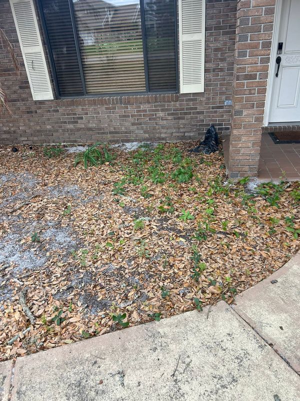 Lawn Care and Maintenance
