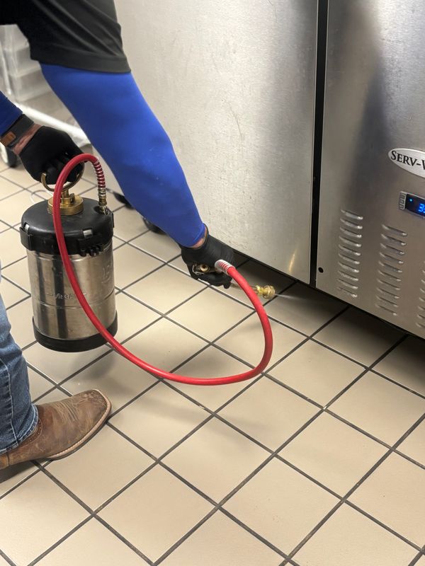 Commercial Pest Control