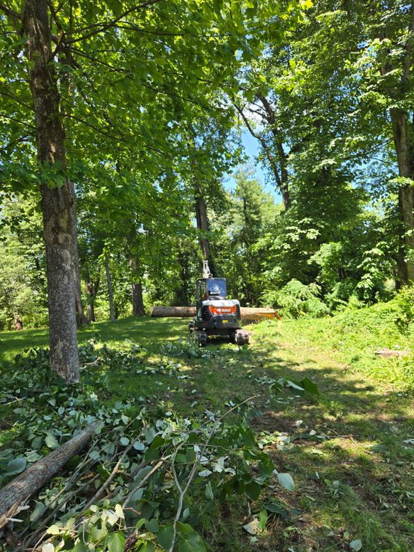 Forestry & Timberland Services