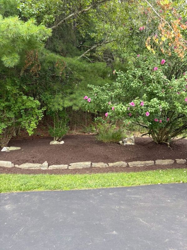 Landscape Installation