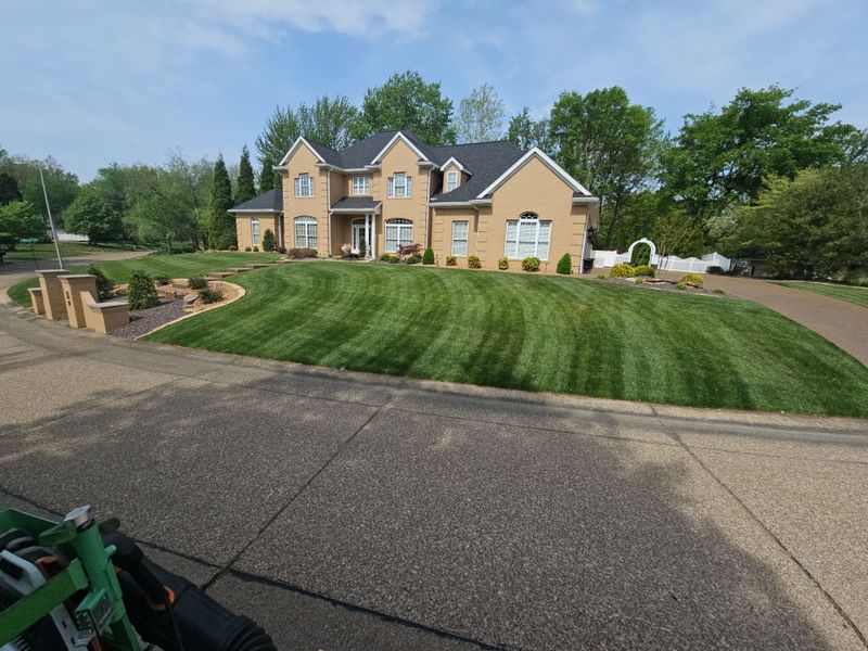 Lawn Maintenance