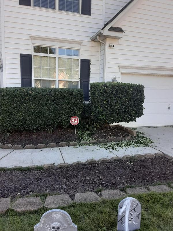 Shrub Trimming