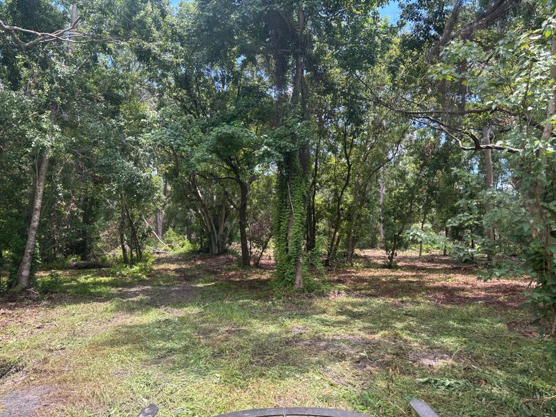 Site Preparation