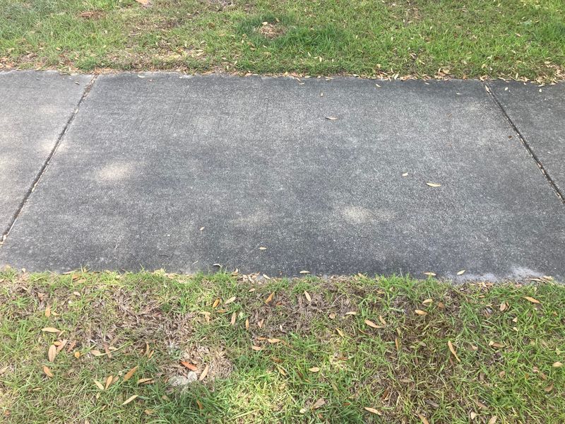 Exterior Cleaning