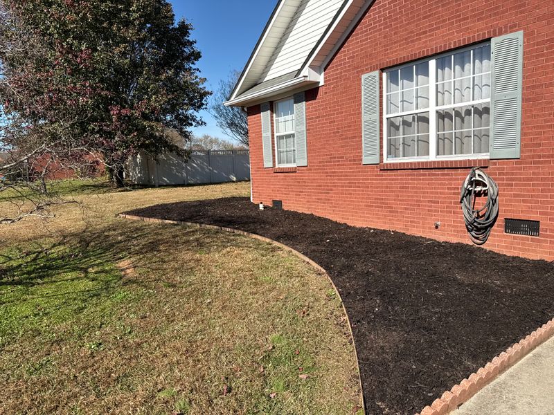 Lawn Maintenance