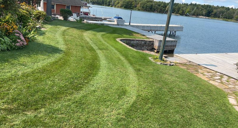 Lawn Care