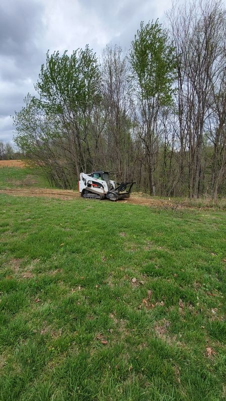 Land Clearing gallery