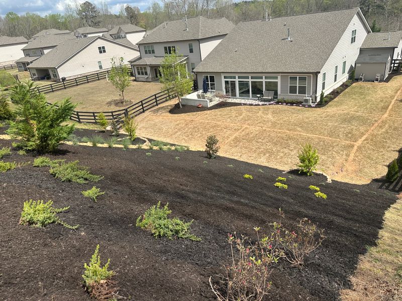Landscape Design and Installation