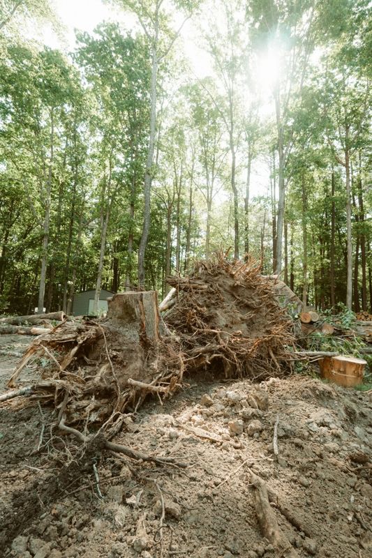 Site Preparation