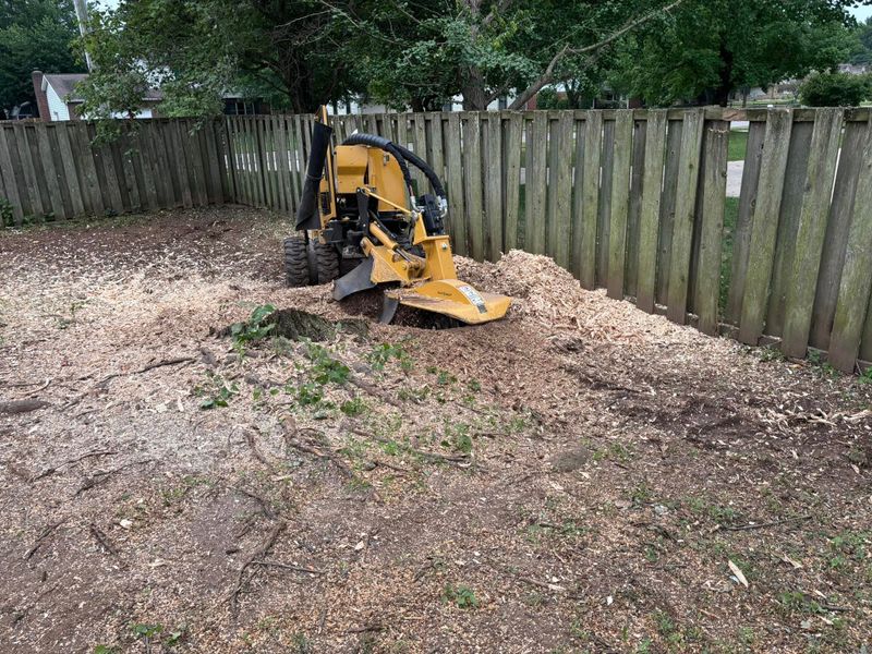 Stump Removal