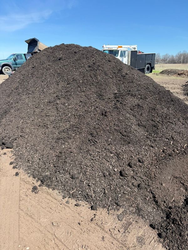 Dyed Brow Mulch