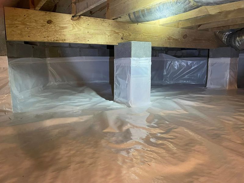 Crawlspace Remediation