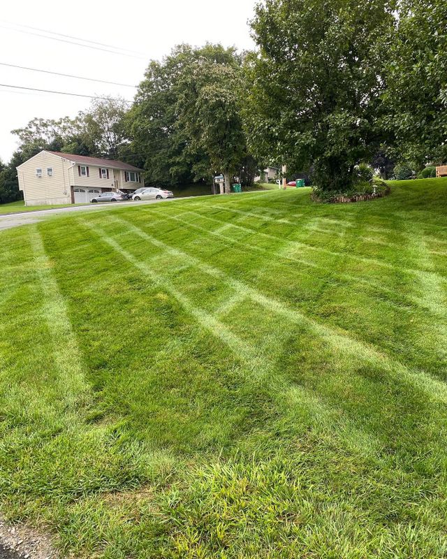 Lawn Maintenance