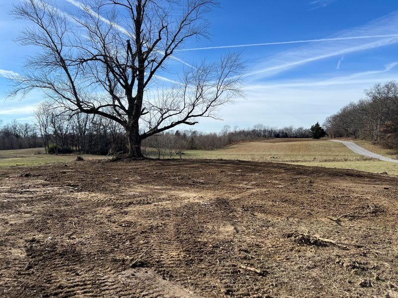 Site Grading
