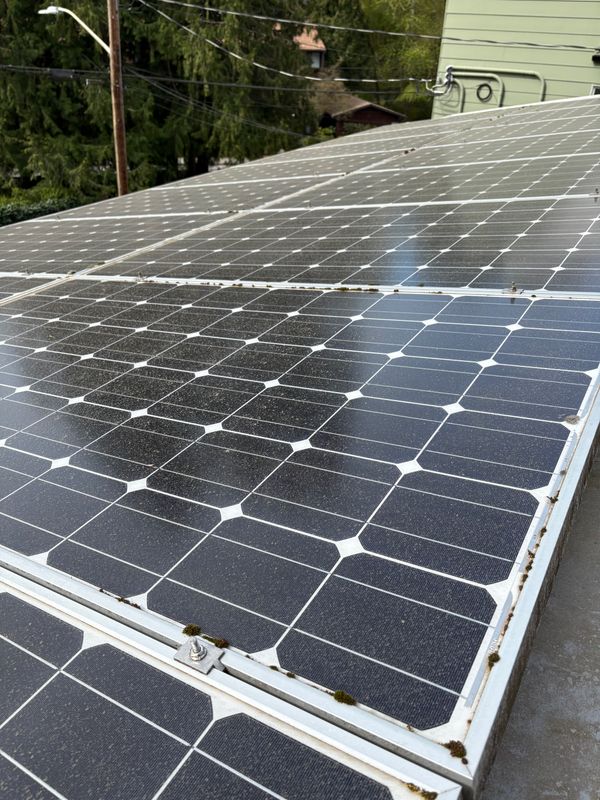 Solar Panel Cleaning