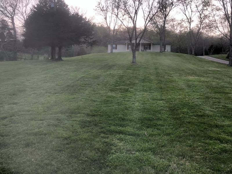 Lawn Maintenance