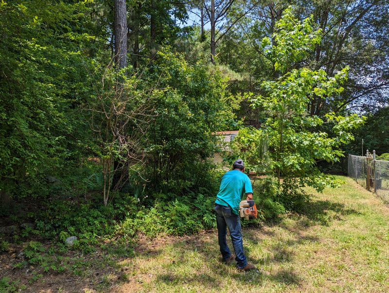 Landscaping