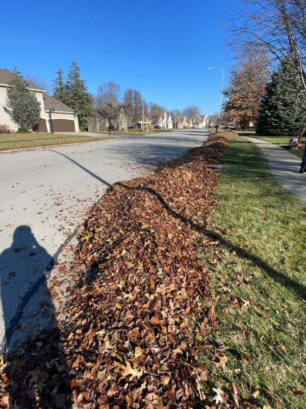 Leaf Removal