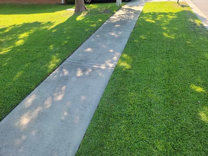 Lawn Care