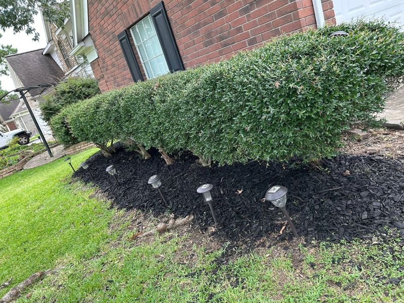 Garden Design