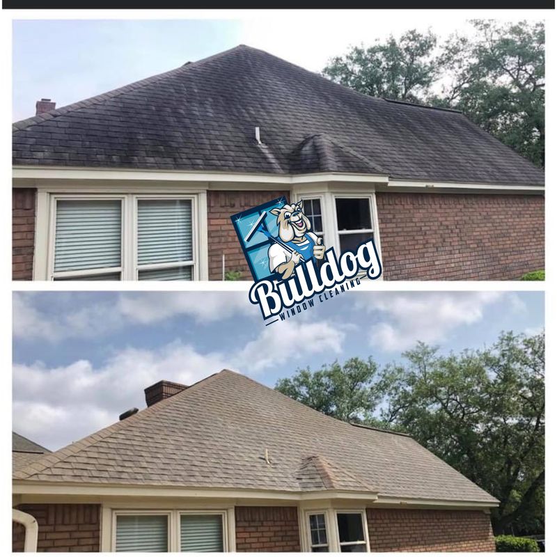 Roof Cleaning