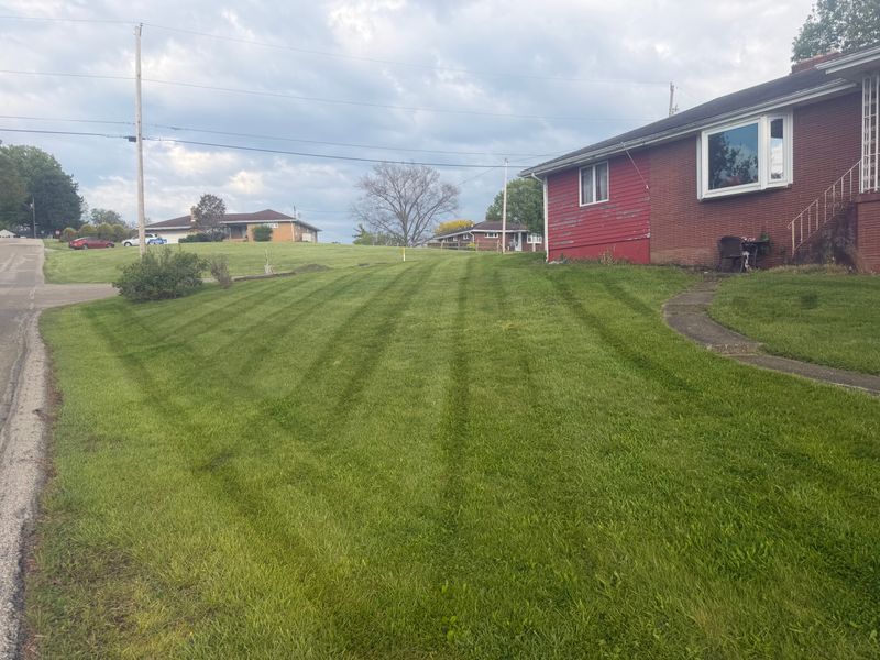 Lawn Care