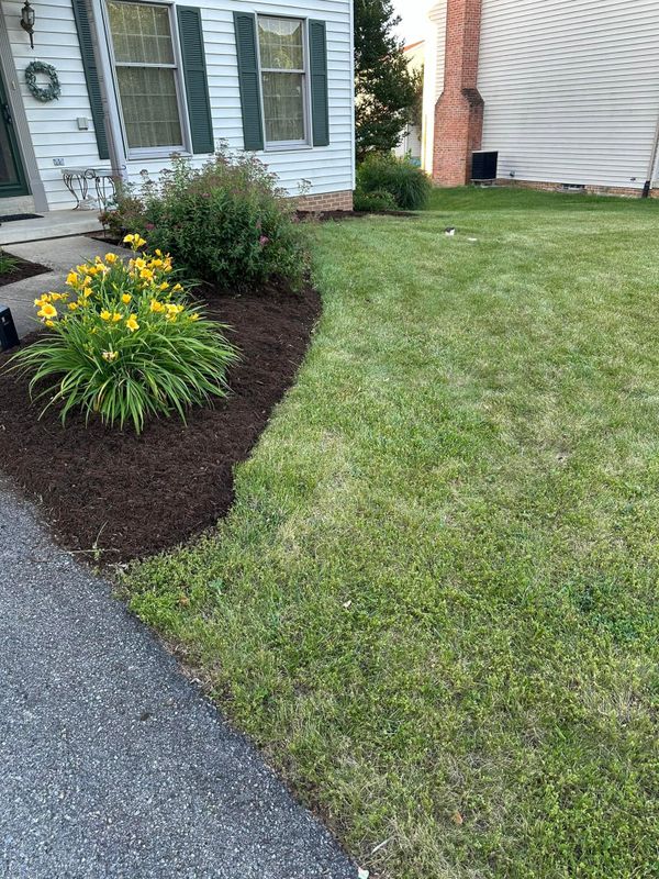 Lawn Care
