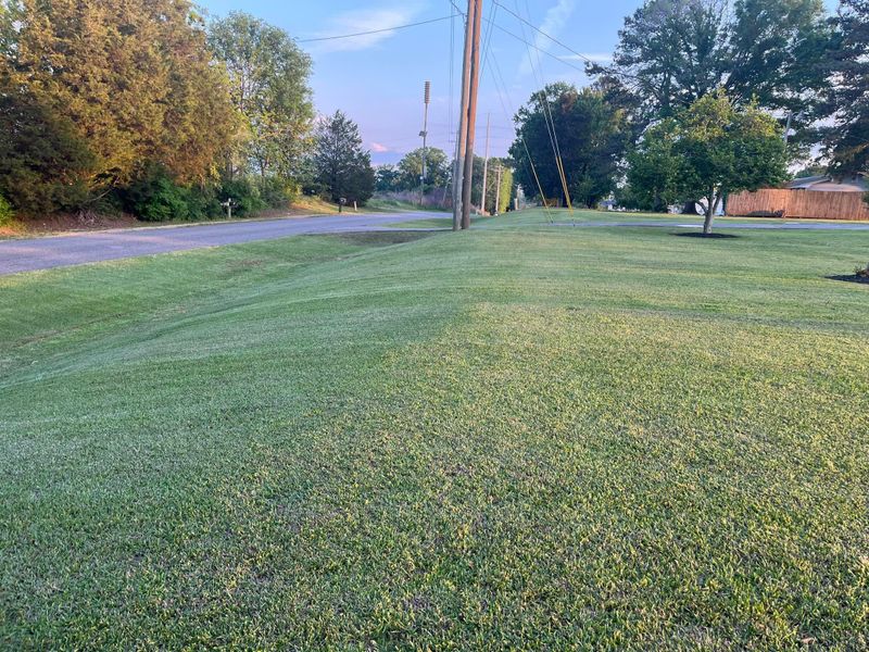 Lawn Maintenance