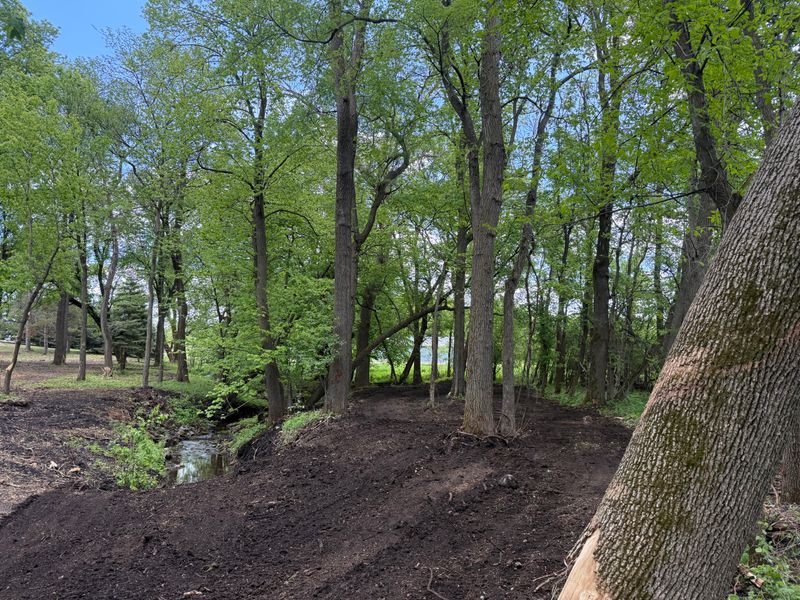 Drainage Solutions & Yard Water Management