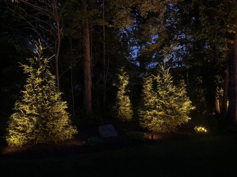 Landscape Lighting gallery