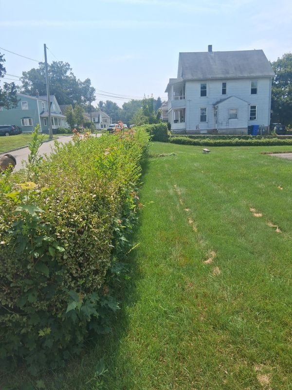 Mowing