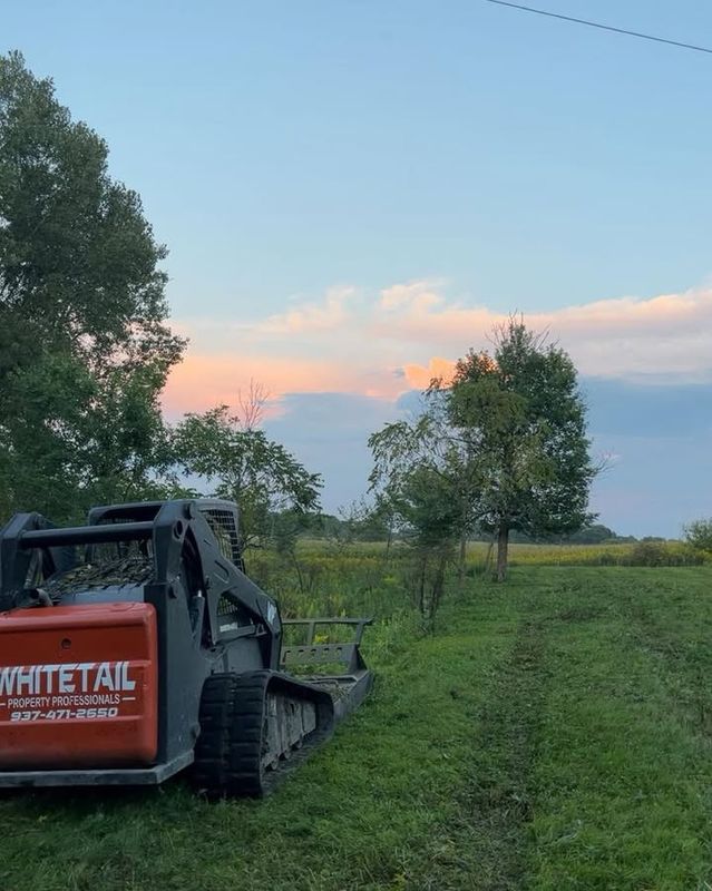 Land Clearing