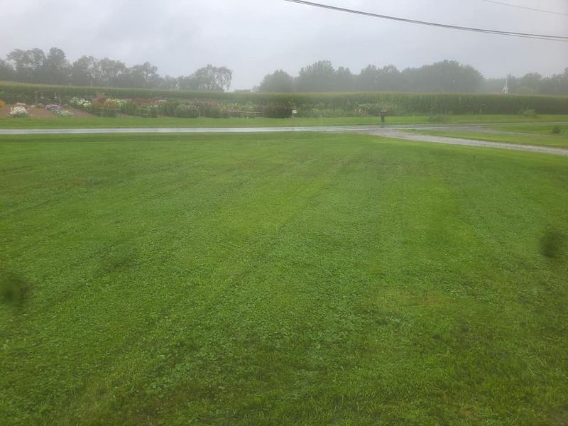 Lawn Mowing
