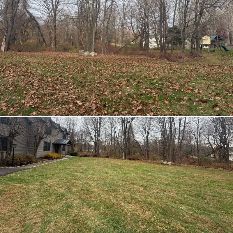 Lawn Maintenance