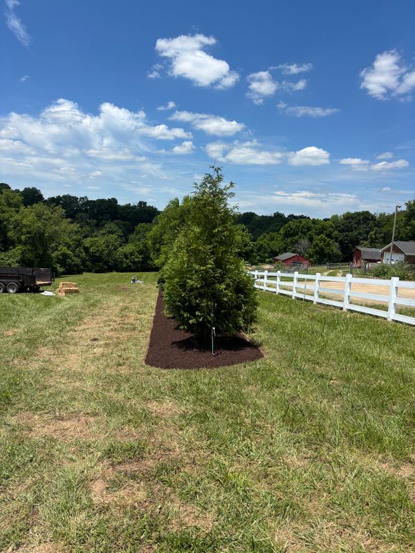 Privacy Trees