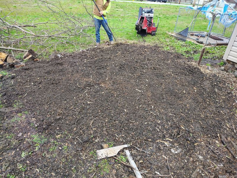 Seasonal Clean-ups