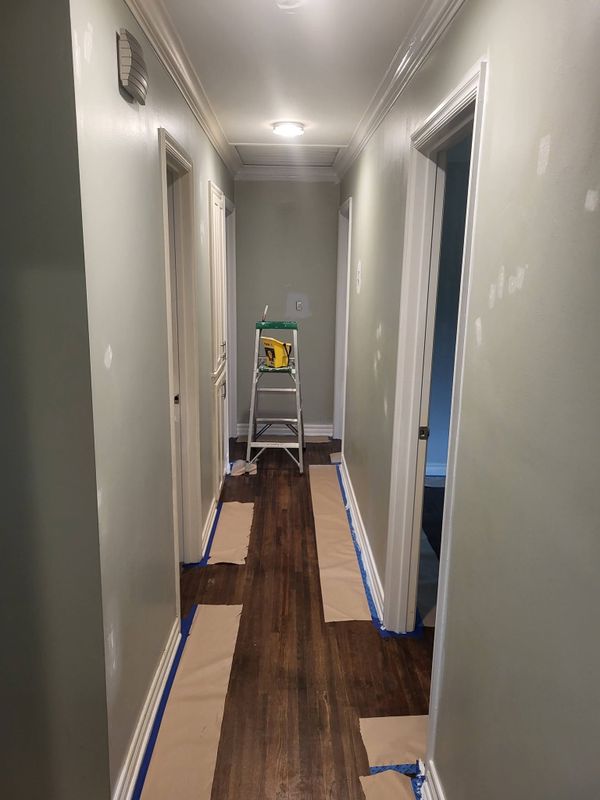 Painting and Drywall