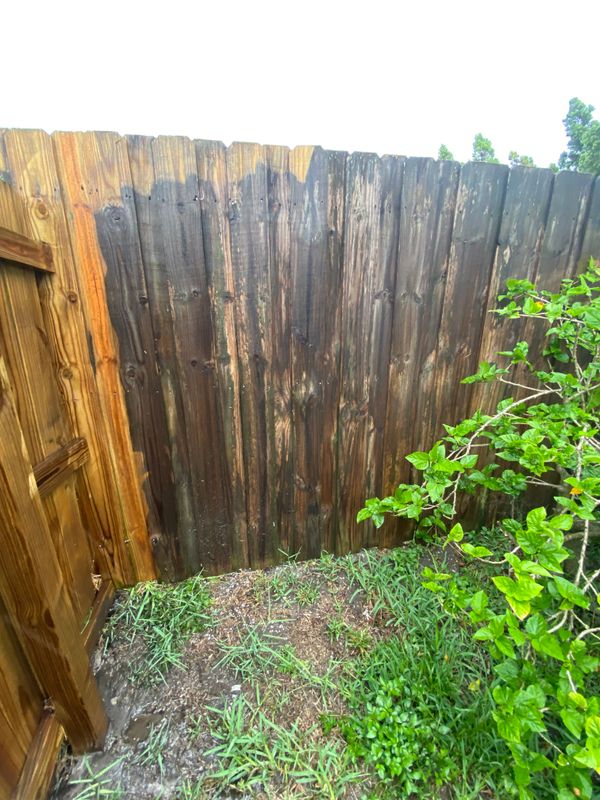 Fence Staining