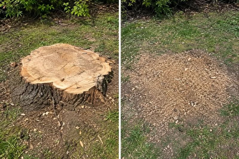 Stump Grinding