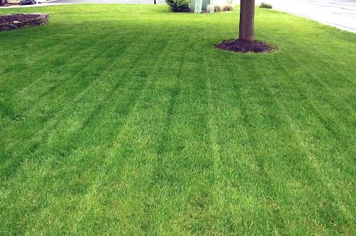 Lawn Mowing