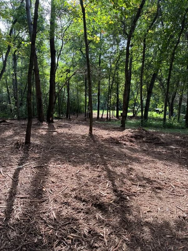 Forestry Mulching