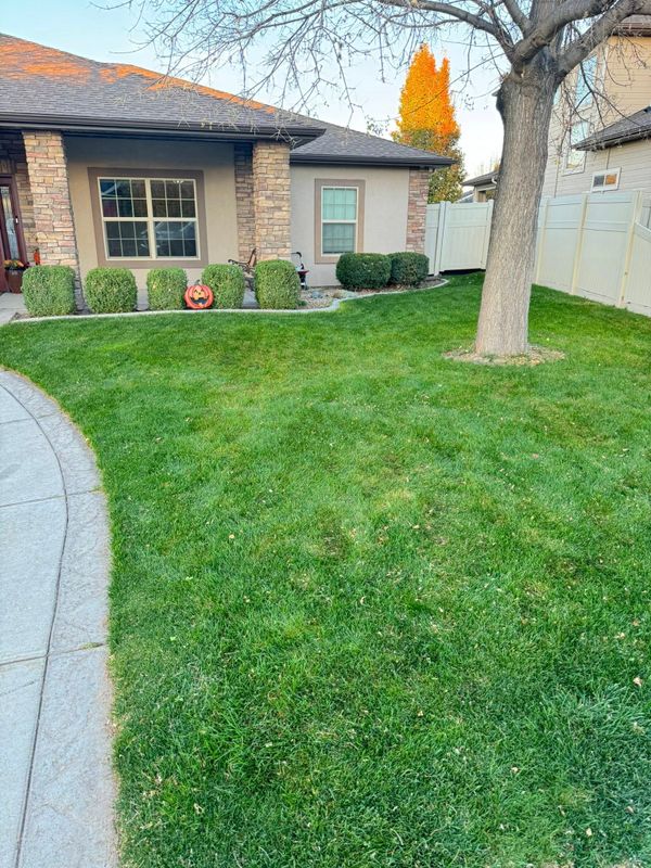 Lawn Maintenance
