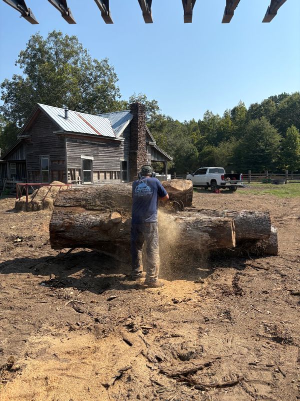 Tree Removal