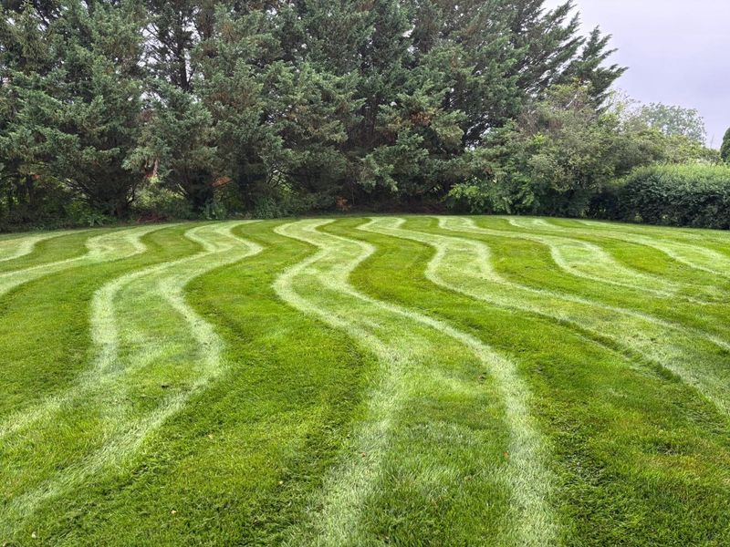 Garden Maintenance